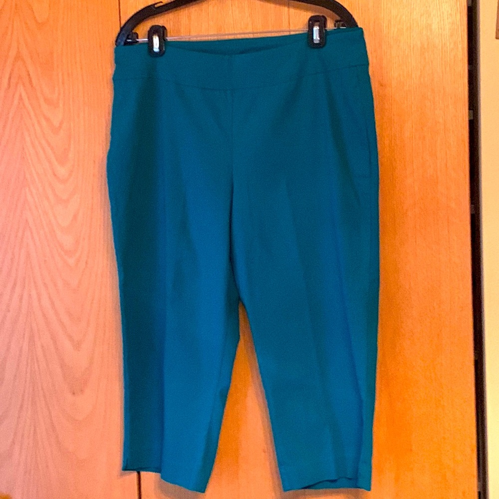 Dana Buchman LARGE pull on stretch crop 20” capri pants teal green EUC